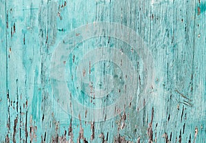 old wooden blue mint color background, wood eaten by warms