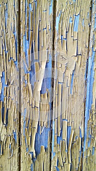 Old wooden blue wall with peeled off beige paint.