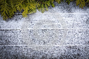 Old wooden board covered with white fresh snow with green branches of Thuja. Flat lay. Christmas winter background