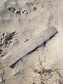 old wooden board lies on the sand