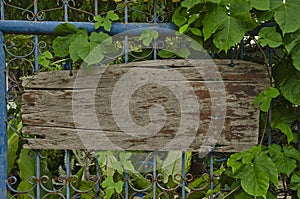 Old wooden board for sign on metal fence