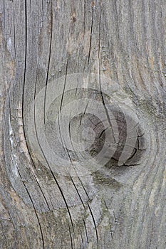 Old wooden boards, aged surface