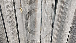 Old wooden boards, old fence, background texture of wood, boards and nails