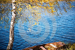 Old wooden boat in autumn Park, trees, fallen leaves and pond, autumn landscape