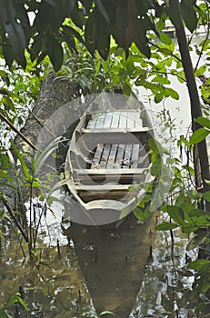 Old wooden boat in the canal with trees surrounded by nature.Wooden boat in the mangrove forest.Sculling Boat in Mangrove.Old