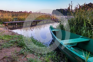 Old wooden boat in the reed bushes on the bank of wide river or lake