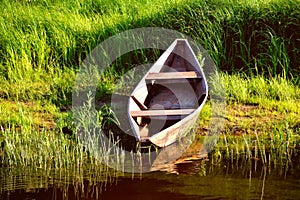 Old wooden boat on the shore, green sedge sunny day toning