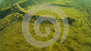 Old wooden boat sunken ashore, close up