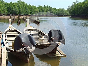 Old wooden boat in the water serrounded by mangrove forest