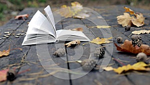 On the Old wooden are a book, fallen pine cones, autumn yellow leaves of maple and oak. The wind blows away the leaves and moves