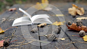 On the Old wooden are a book, fallen pine cones, autumn yellow leaves of maple and oak. The wind blows away the leaves and moves