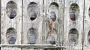 Old wooden bottle holder