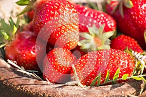 Old Wooden Bowl Filled Juicy Fresh Ripe Red Strawberries On An Old old stone