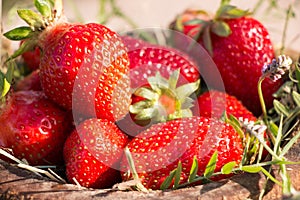 Old Wooden Bowl Filled Juicy Fresh Ripe Red Strawberries On An Old old stone