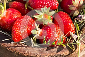 Old Wooden Bowl Filled Juicy Fresh Ripe Red Strawberries On An Old old stone