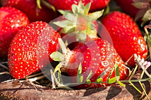 Old Wooden Bowl Filled Juicy Fresh Ripe Red Strawberries On An Old old stone