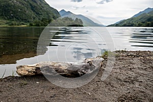 Old wooden branch on a shore of the Loch Shiel lake in Glenfinnan, Scotland with blurred background
