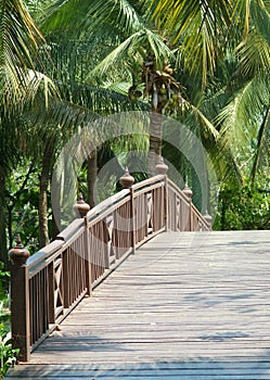 Old, wooden bridge