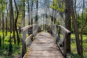 old wooden bridge across the Creek in the woods