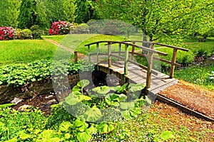 Old wooden bridge in a beautiful garden