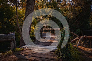 Old wooden bridge in deep forest, natural background