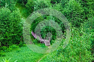 Old wooden bridge in the forest among the trees and bushes with green leaves,