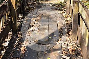 Old wooden bridge near collapse