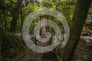 The Old Wooden Bridge photo