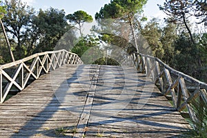 Old wooden bridge over the channel of San Rossore Regional Park, Italy