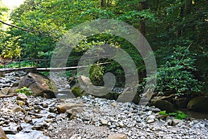 Old wooden bridge over a mountain creek in forest