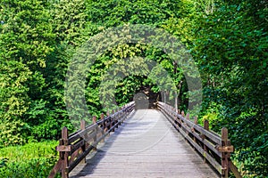 Old Wooden Bridge Over River in Deep Forest