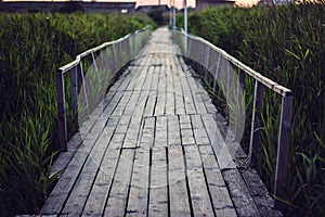 Old wooden bridge over a small shallow river flows into estuary of the Black Sea. Wood bridge leads into the reeds vanishing point