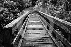 Old wooden bridge with safety rails