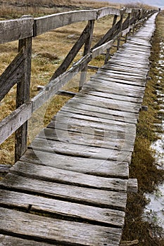 Old wooden bridge at Sic swamps photo