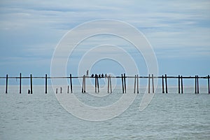 Old wooden bridge spanning the sea in clear day.