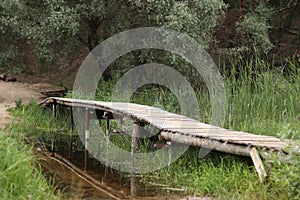 Old wooden bridge in the summer day. Lake and forest.