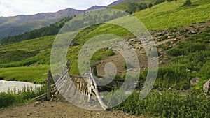 old wooden bridge to drive cattle