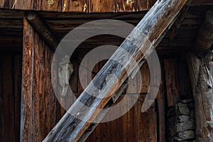 Old wooden building with horse scull in a corner, ladder and door