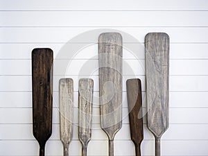 Old wooden canoe paddles on white wood plank wall background.