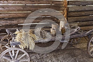 Old wooden cart with dry ears and wooden utensils in of an old barn