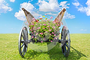 Old Wooden Cart with Flowers