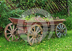 Old wooden cart with flowers