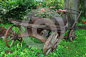 Old wooden cart with pink flowers