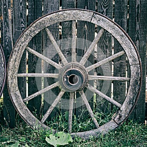 Old Wooden Cart Wheel