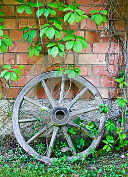 Old wooden cart wheel against wall