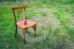 An Old Wooden Chair on the Green Lawn with Two Ripe Red Apples on the Seat. Copy Space