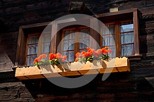 Old wooden chalet in Switzerland with flowers in front of the windows