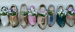 Old wooden clogs with blooming flowers