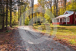 Old wooden cottage along a winding forest road on sunny autumn day