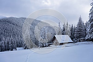 An old wooden cottage. Large snowdrifts around it. Background with high mountains.